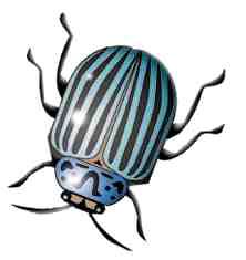 1000184252-1000239300 alternate text for this image