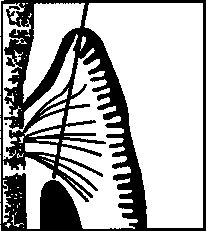 1000107490-1000239220 alternate text for this image