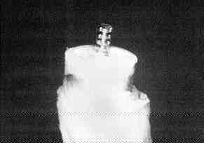 FIGURE 1 Photo of final tooth preparation (using 3M Scotchbond dentinal bonding agent) before tensile testing.