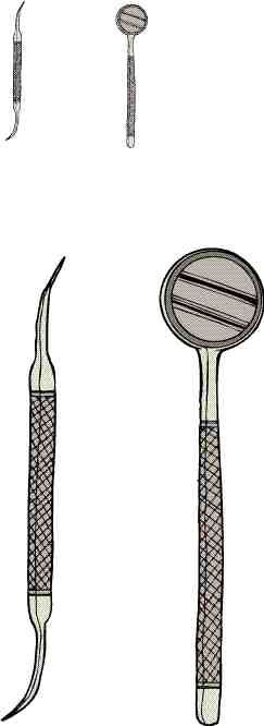 1000110261-1000242752 alternate text for this image