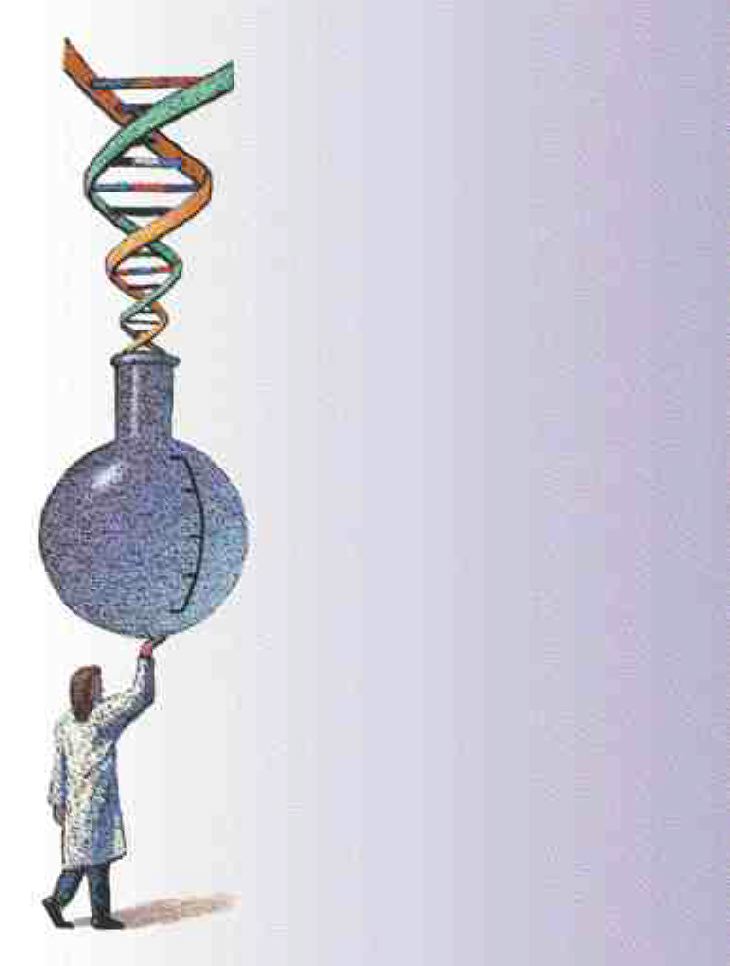 1000110499-1000240687 alternate text for this image