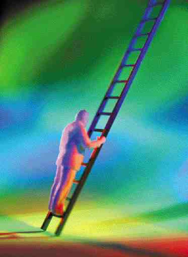 1000115295-1000246391 alternate text for this image