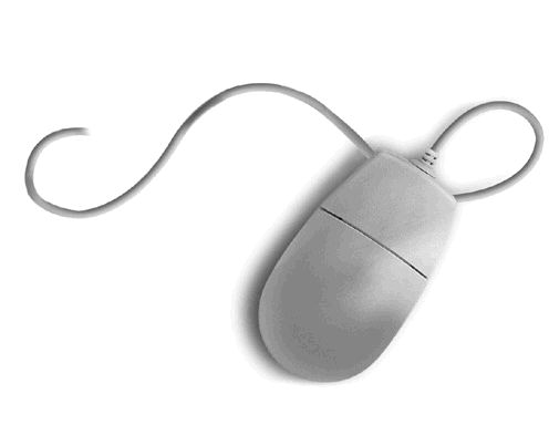 1000117105-1000253236 alternate text for this image