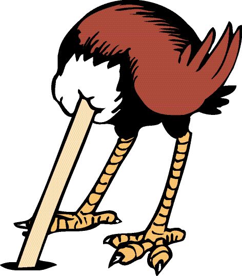 1000148397-1000253242 alternate text for this image