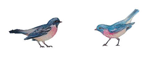 1000169808-1000253249 alternate text for this image