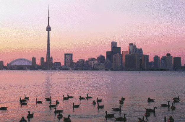 1000118895-1000264030 alternate text for this image