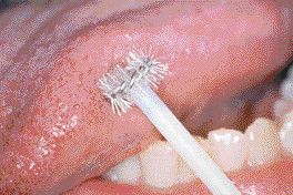 1000156575-1000265049 alternate text for this image