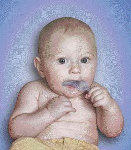 1000195472-1000278396 alternate text for this image