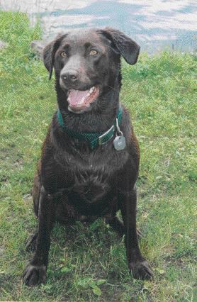 Madee , owned and photographed by Sheila Wilson