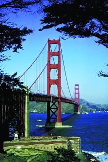 1000216956-1000300756 alternate text for this image