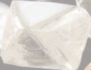 1000221625-1000313531 alternate text for this image