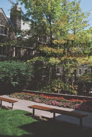 1000229977-1000322872 alternate text for this image