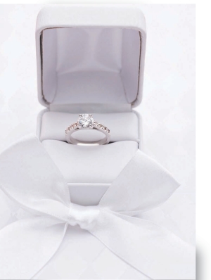 1000331676-1000331677 alternate text for this image