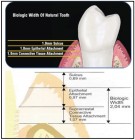 Belcastro fig1 alternate text for this image