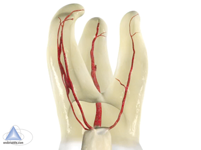 West Figure 3b alternate text for this image