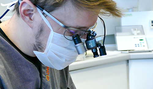 proCam-Loupe-Mounted-1 alternate text for this image