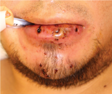 Cuddy fig5 alternate text for this image