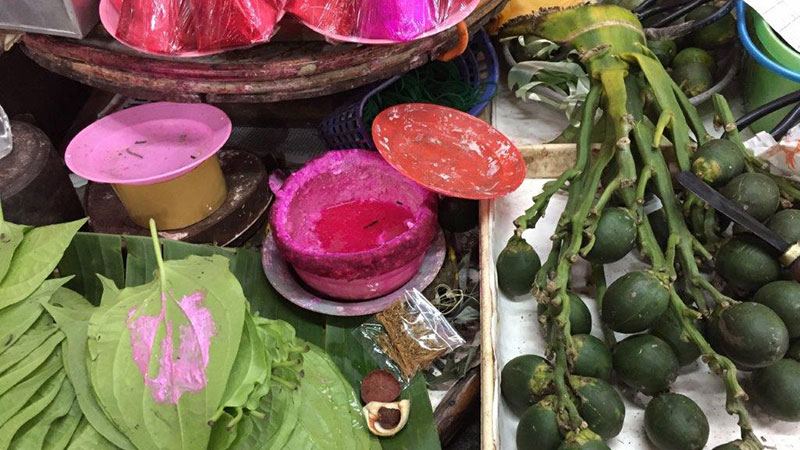 OHY-Priebe-main alternate text for this image