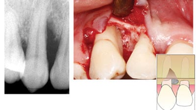 OH-Dab-main alternate text for this image