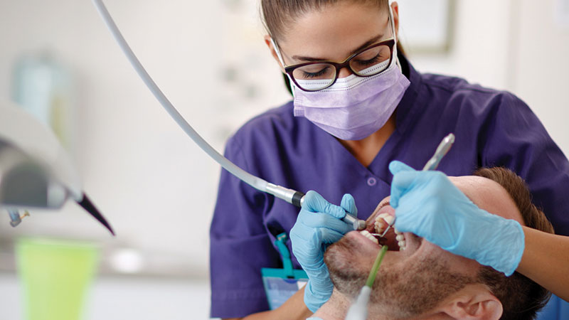 OHY-Doniger-main alternate text for this image