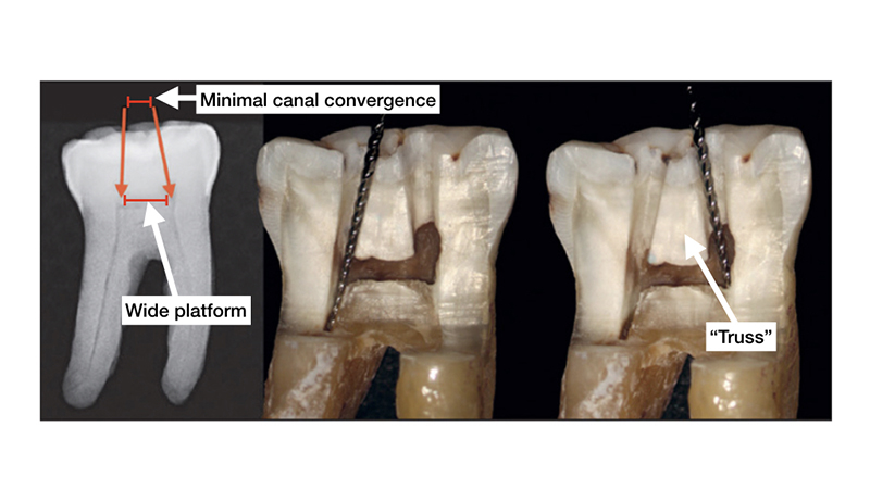 Nadeau feature image alternate text for this image