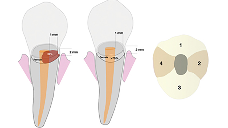 Serota 1 feature image alternate text for this image