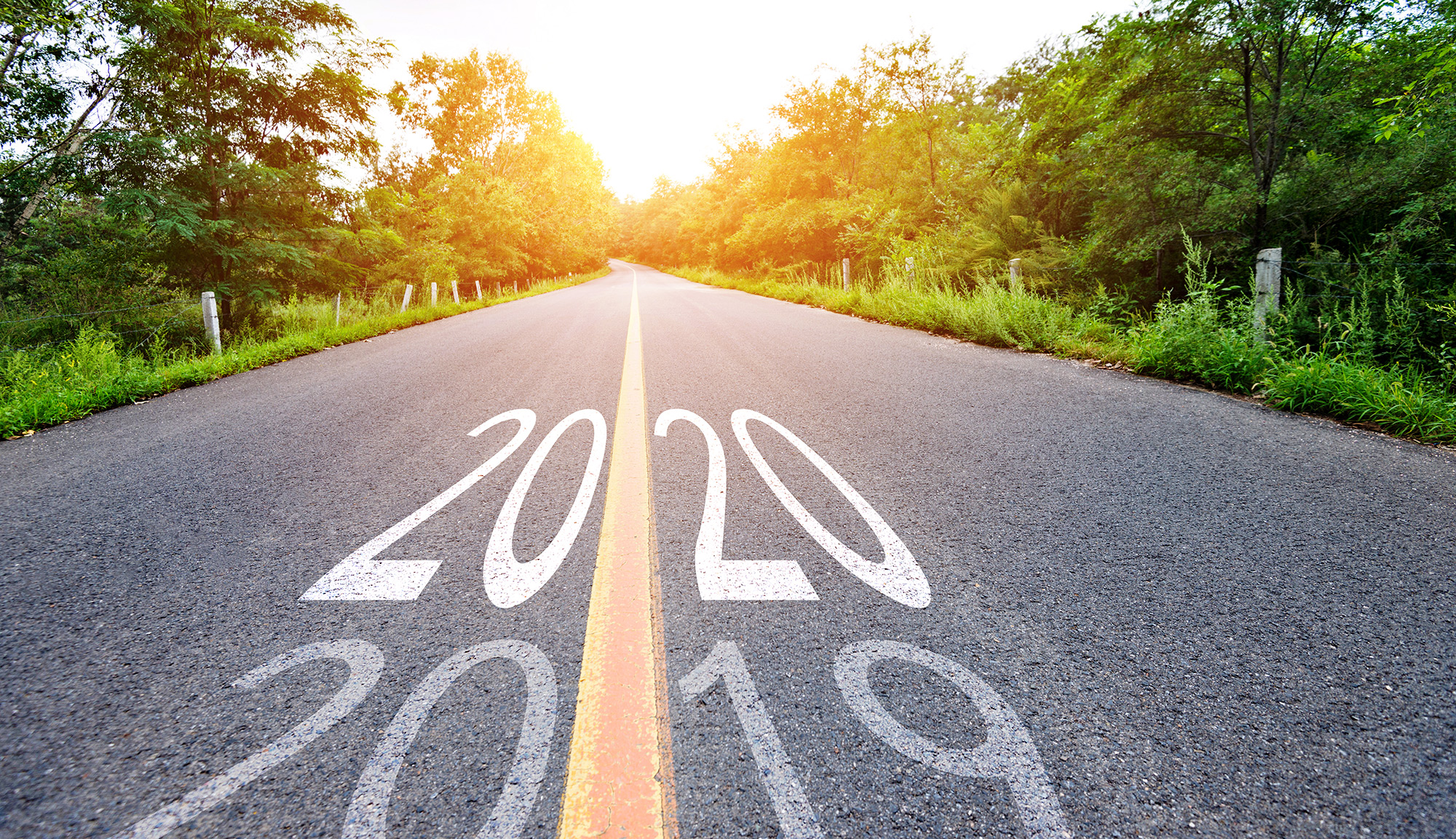 iStock-1150191348 alternate text for this image