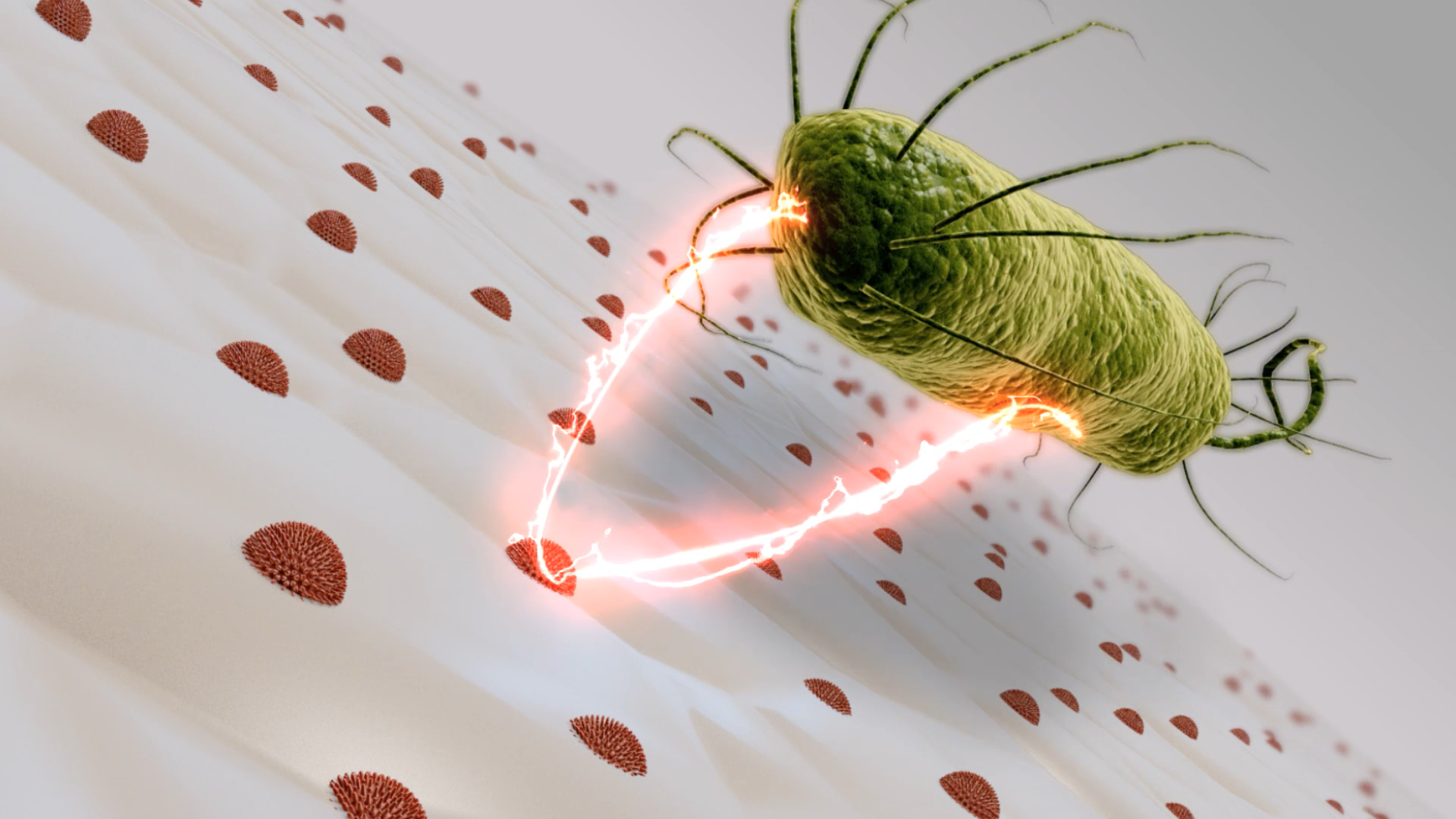 Nobio's antibacterial nanocomposite and bonding material.