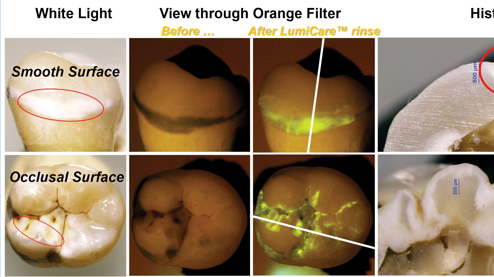 GreenMark Biomedical