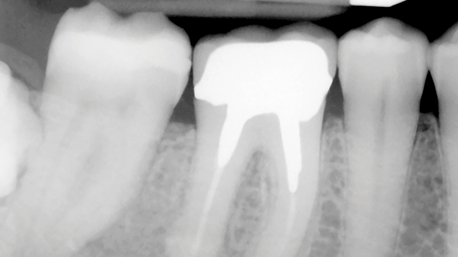 Sas-FIG5_COMB_FIN-thumbnail alternate text for this image