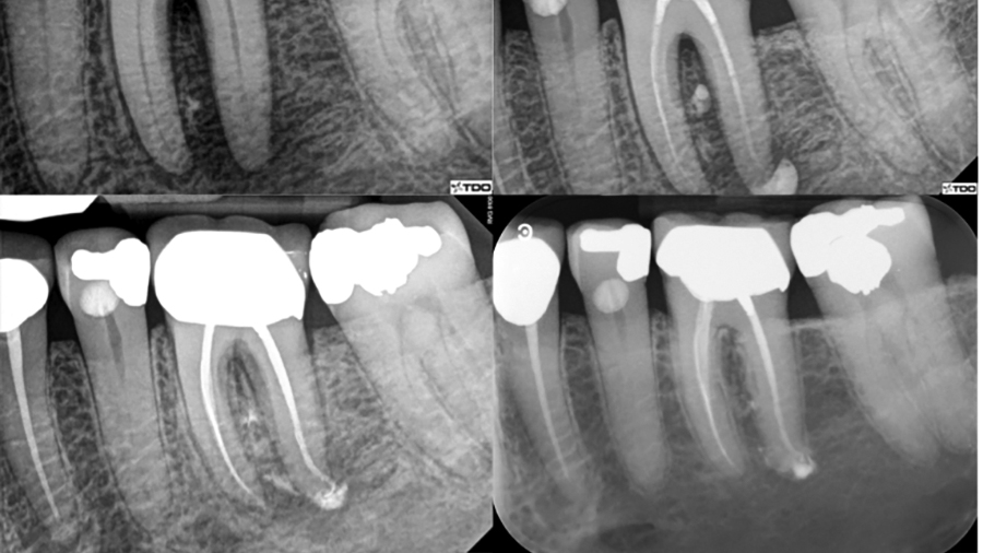 Nadeau-FIGURES-thumbnail alternate text for this image