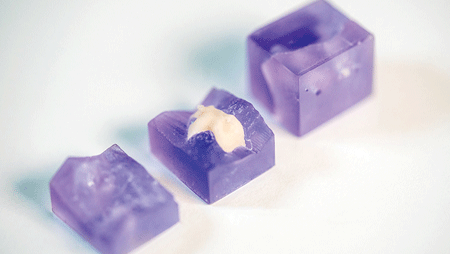 Tarvonen-Fig-3-thumbnail alternate text for this image