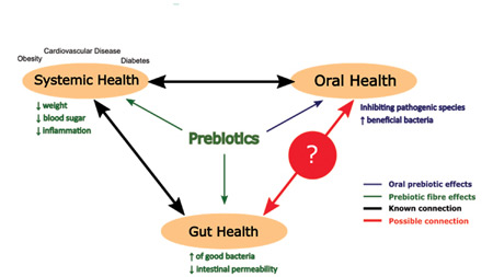 Ward-fig1-thumbnail alternate text for this image