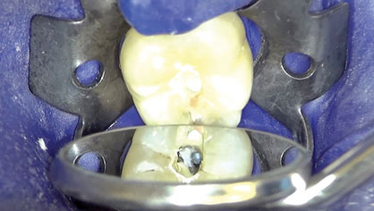 Farshey-Figure8c alternate text for this image