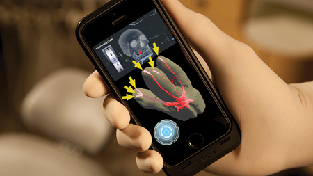 Shooting seal bullets.