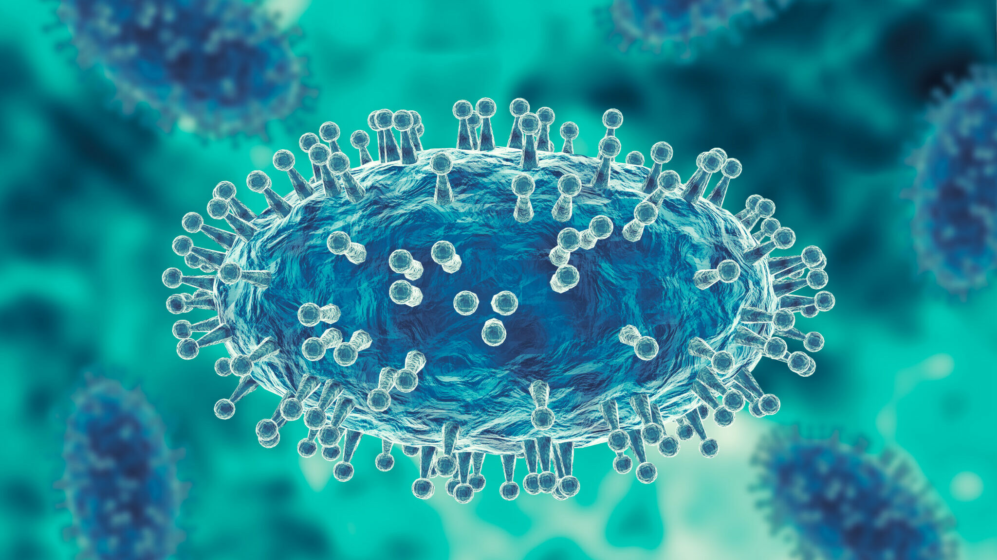 Monkeypox virus is a smallpox-like viral infection transmitted from animals to humans alternate text for this image