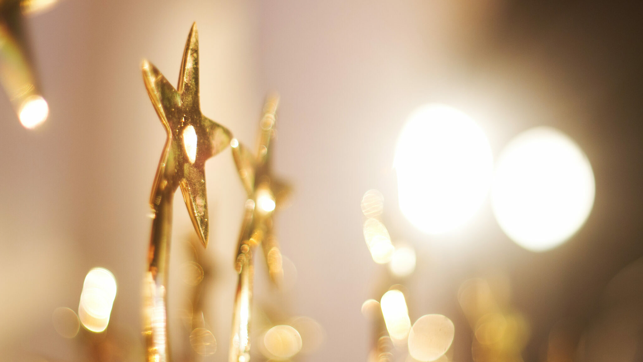 Star Trophies alternate text for this image