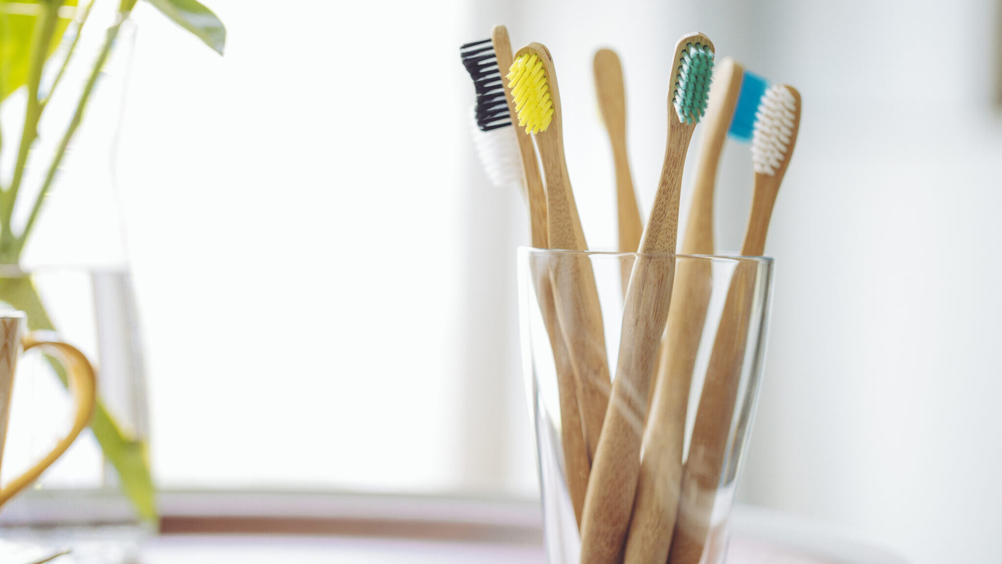 Toothbrushes in a glass alternate text for this image