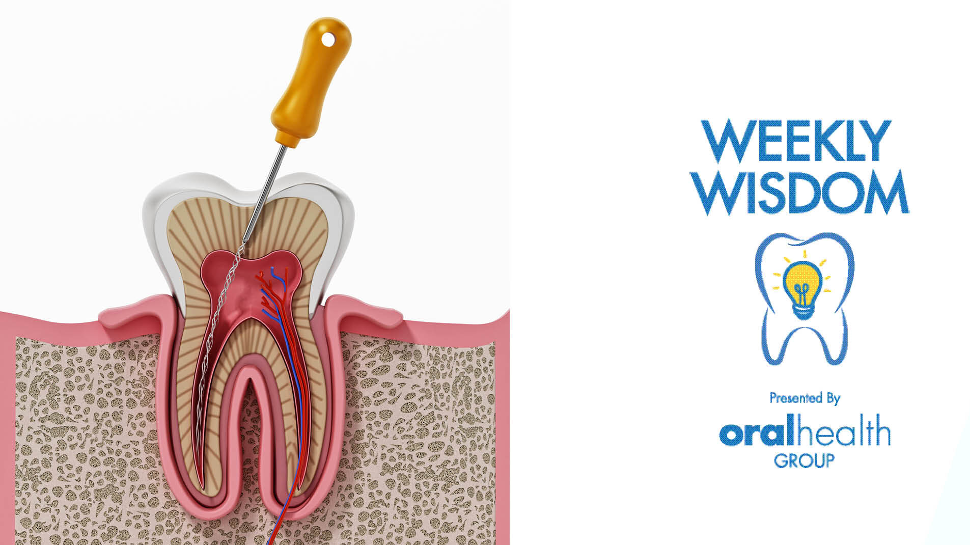 WW Thumbnail_1920x1080_241023 alternate text for this image