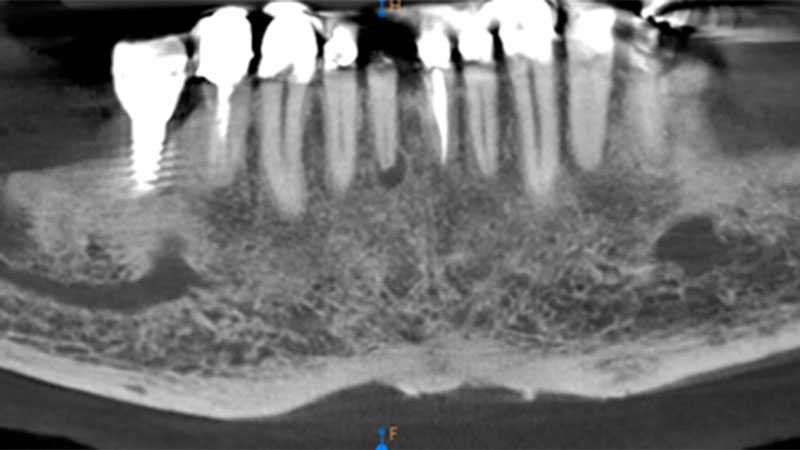 abdul alternate text for this image