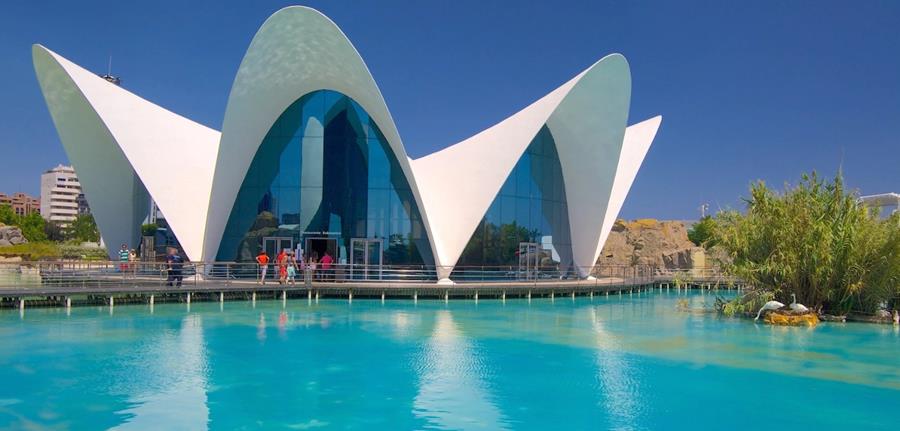 European Aligner Society