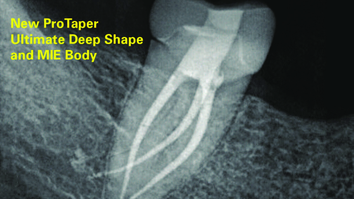 West-Fig1 alternate text for this image