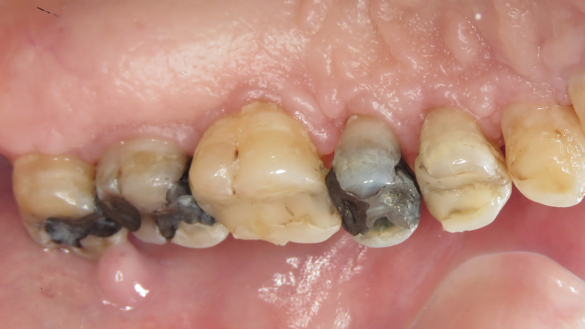 belzycki-featured-image alternate text for this image