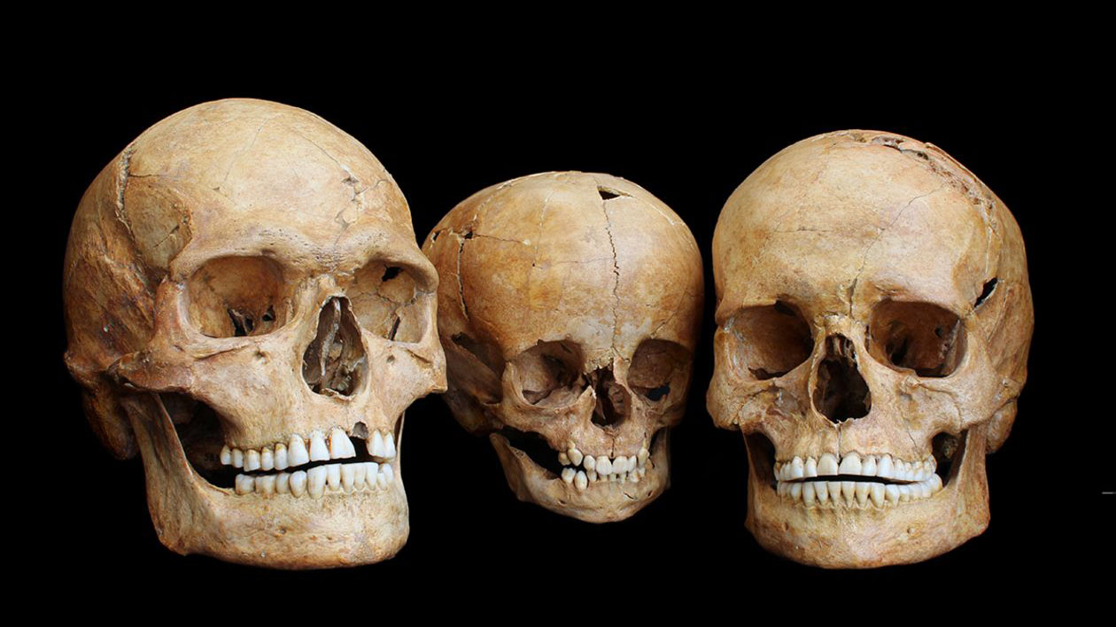 Three human skulls from the Hohlenstein-Stadel cave in Southern Germany, dated to around 8,500 years ago, are believed to belong to a family: a man (left), a woman (right), and a child (center). (Photo: University of Tübingen)