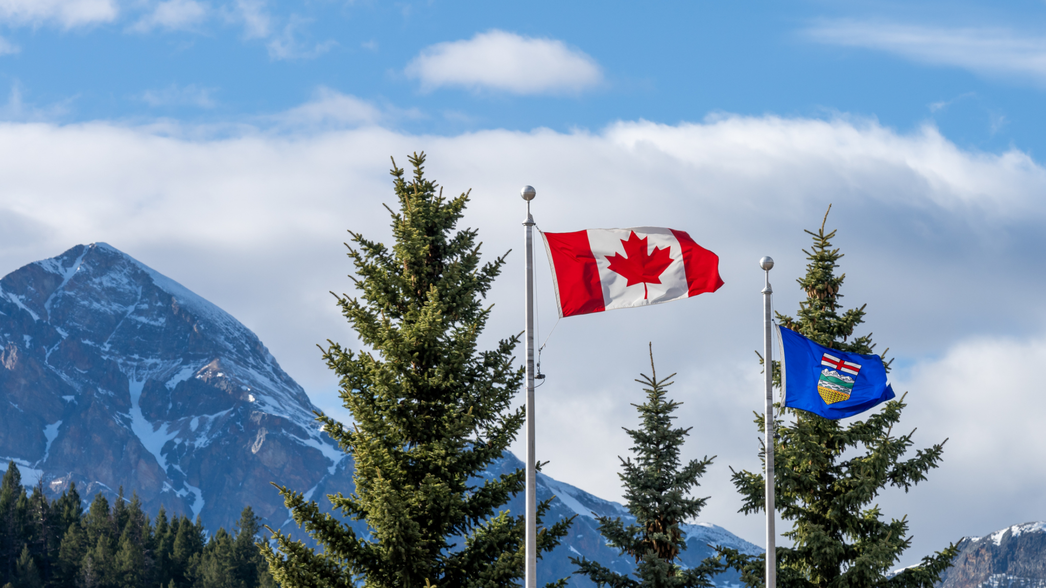 In 2022, Alberta had the highest public dental insurance coverage in Canada, with 7.8% of its population aged 12 and older enrolled in provincial programs, according to our data.