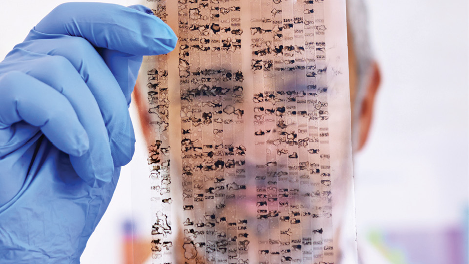 iStock-529135121 alternate text for this image