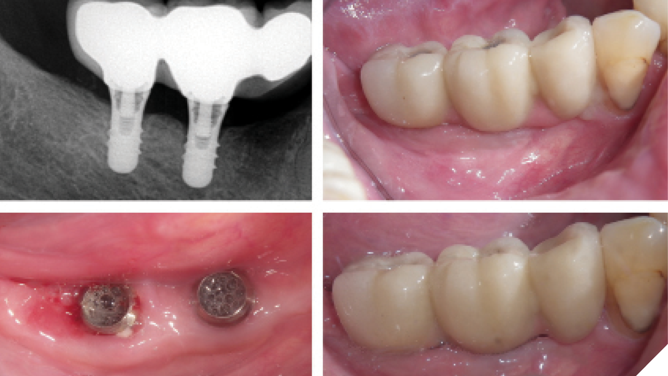 Hsiao-fig_8 alternate text for this image