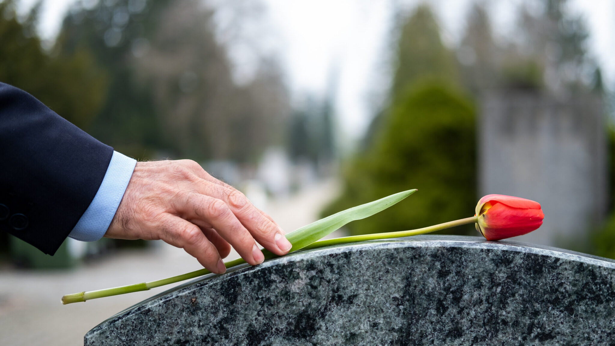Cemetery alternate text for this image