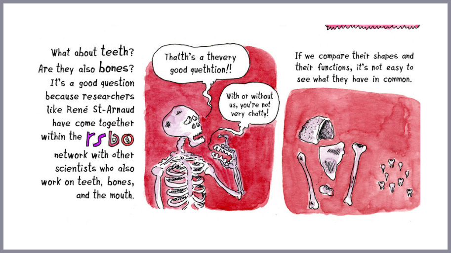 bones-teeth-new2 alternate text for this image