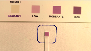 Figure 1a alternate text for this image